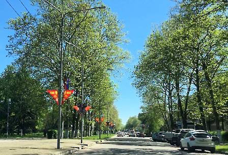 0505 украшают