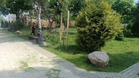 0606 трава