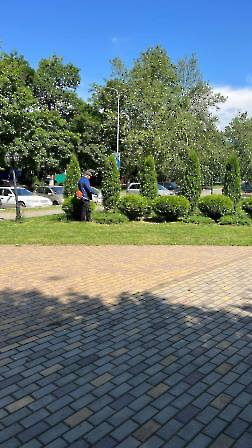 0606 трава
