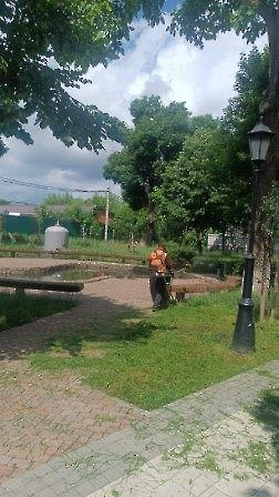 0606 трава
