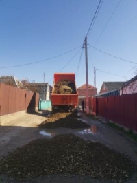 0704 грейдирование