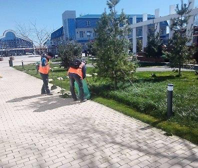 0704 покос