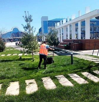 0704 покос