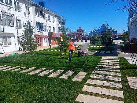 0704 покос