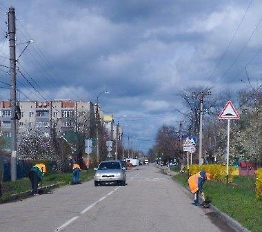 0704 покос
