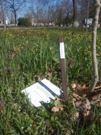 0704 парк вандалы