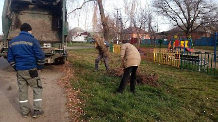 0712 вывоз веток