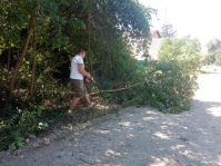 0908 ветки