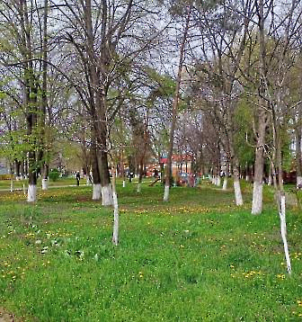 1104 субботник 2