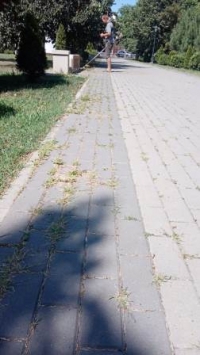 1108 благоустройство