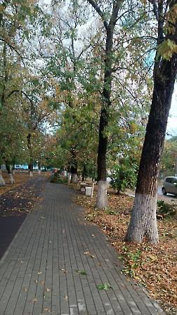 1110 ураган