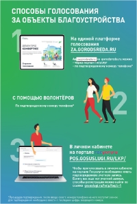 как голосовать
