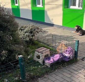 1212 Дундича