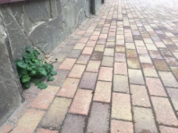 1304 санитарный контроль