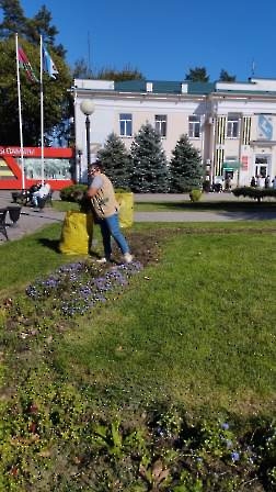 1310 цветы