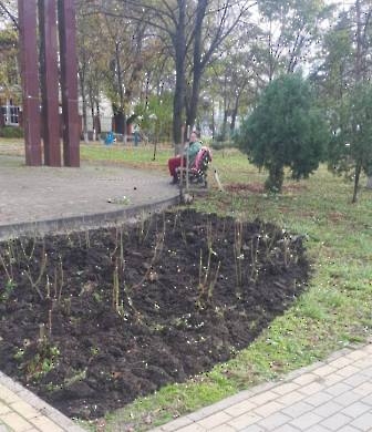 1411 шипы и розы