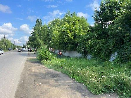 1506 покос