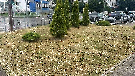 1506 покос бизнес