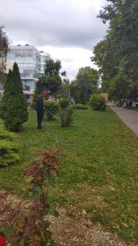1507 полив
