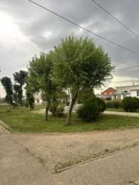 1807 покос травы
