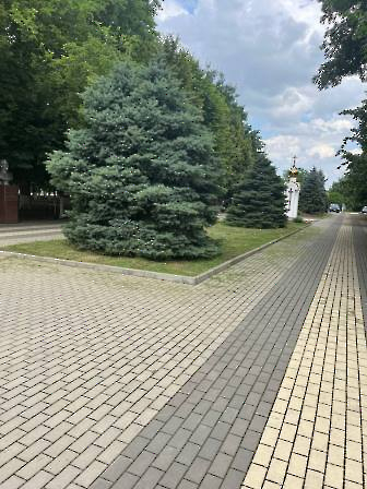 1906 покос