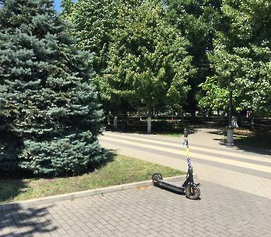 2106 покос