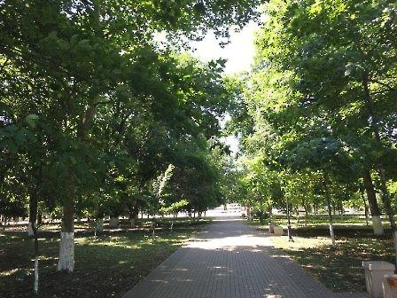 2106 покос