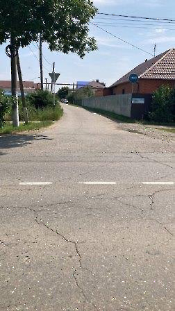 2106 покос