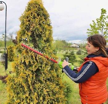 2404 субботник