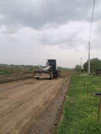 2504 грейдирование