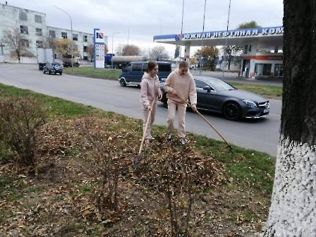 2610 ТОС студенты