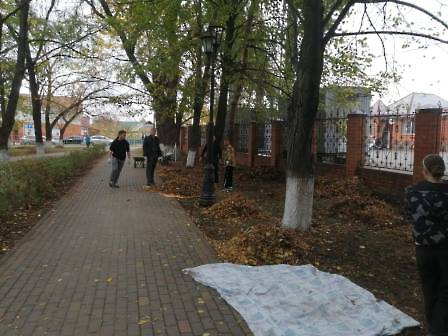 2610 ТОС студенты