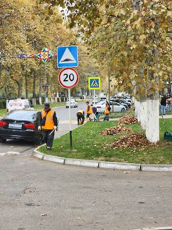 2610 уборка листвы