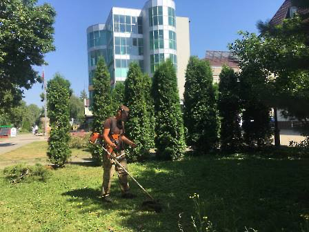 2706 покосы бизнес