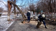 2903Уборка