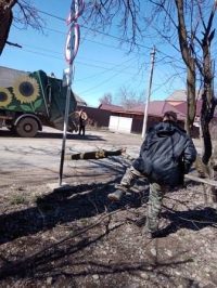 3003 благоустройство