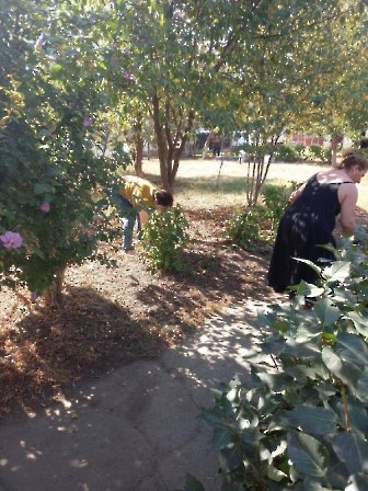 300822 Субботник Ленина 149