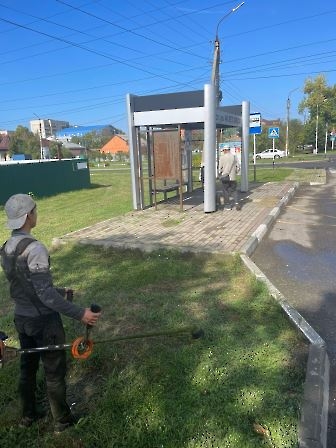 3009 благоустройство
