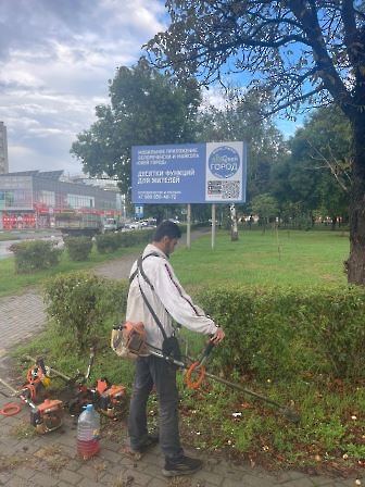 3009 благоустройство