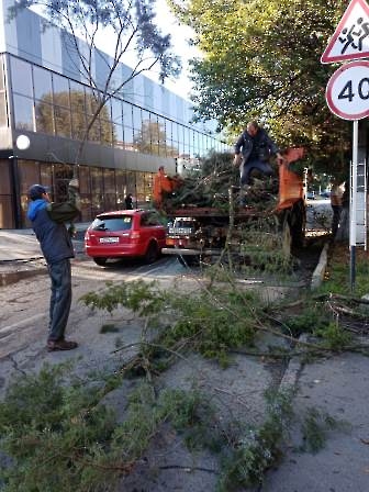 3009 благоустройство