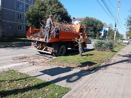3009 благоустройство