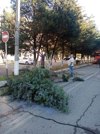 3009 благоустройство