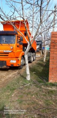 3103 грейдирование