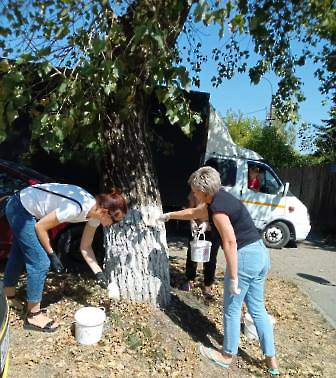 3108 субботник