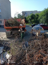 субботник 0207