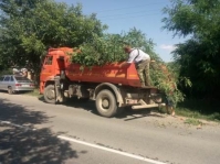 субботник 0207