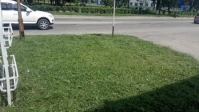 покос травы0607