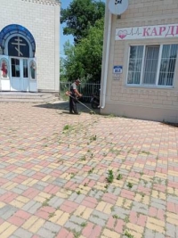 покос травы0607