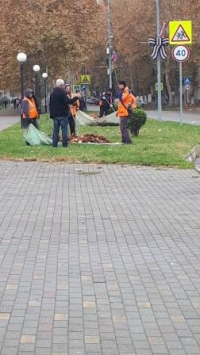 листья 081121