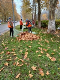 листья 081121